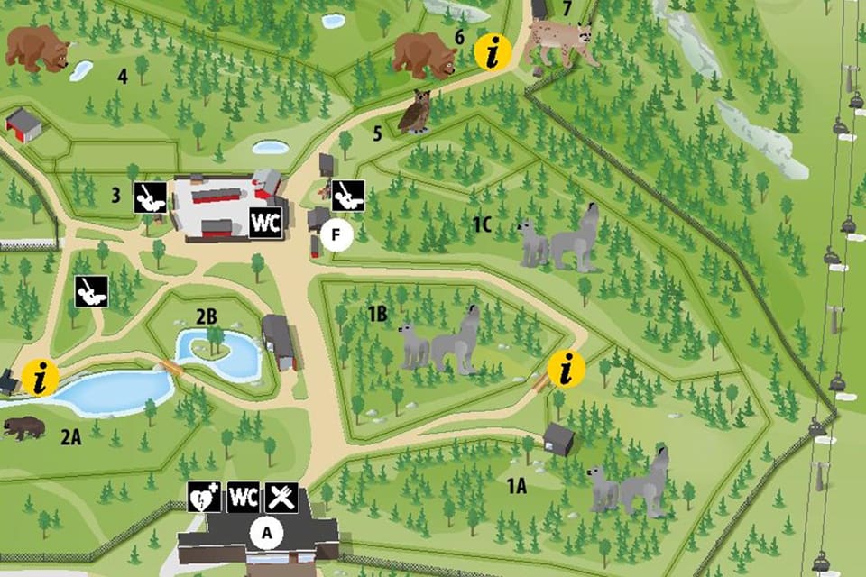 Det krävs att vargrymlingen som sköts i lördags sedan den rymt från Orsa Rovdjurspark ska visas upp offentligt på torget i Orsa. Varghannen tog sig förbi slalombacken och avlivades sedan en mil utanför Grönklittområdet.