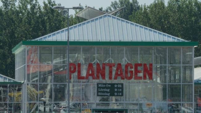 En butiksanställd filmades på tisdagsmorgonen av ett vittne när han med ett luftgevär sköt mot fåglar på taket på Plantagens anläggning i Uppsala. Bilden föreställer butiken i Uddevalla.