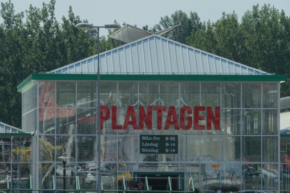 En butiksanställd filmades på tisdagsmorgonen av ett vittne när han med ett luftgevär sköt mot fåglar på taket på Plantagens anläggning i Uppsala. Bilden föreställer butiken i Uddevalla.