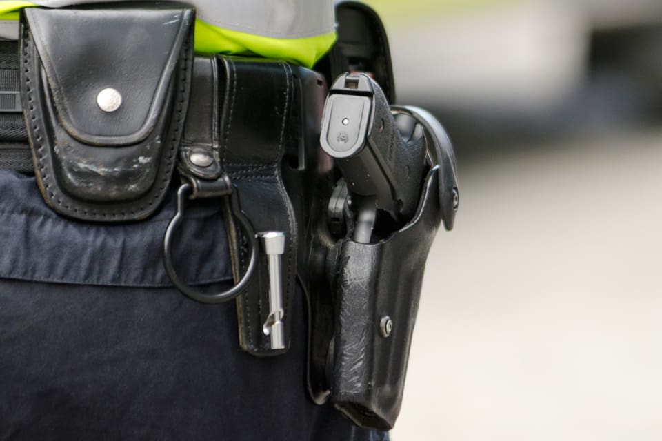Det behövdes fyra-fem skott med polispistolen på cirka två meters avstånd för att avliva en bock som fastnat mellan spjälorna i ett staket vid Rosenborgsskolan i Södertälje. (Arkivbild)