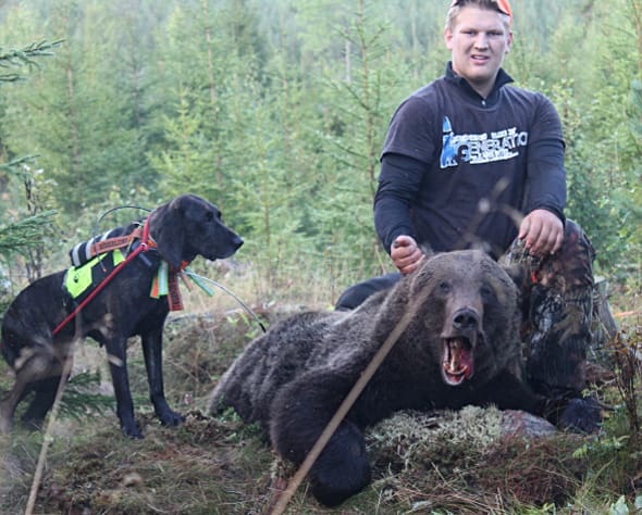 Erik S&ouml;derlund vid premi&auml;rbj&ouml;rnen p&aring; 107 kilo. En av de tre plottarna &auml;r med och synar.