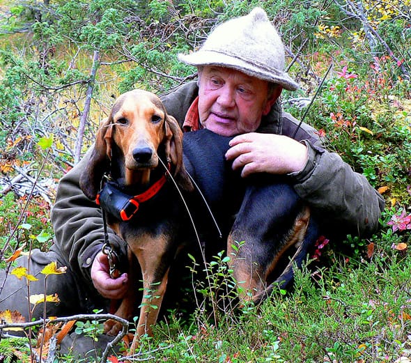Leif Joelsson i Ytterhogdal slutar som domare vid jaktprov i protest mot de hopplösa vargläget för stövarjakten. Han slutar även med löshundsjakten och avelsarbetet.