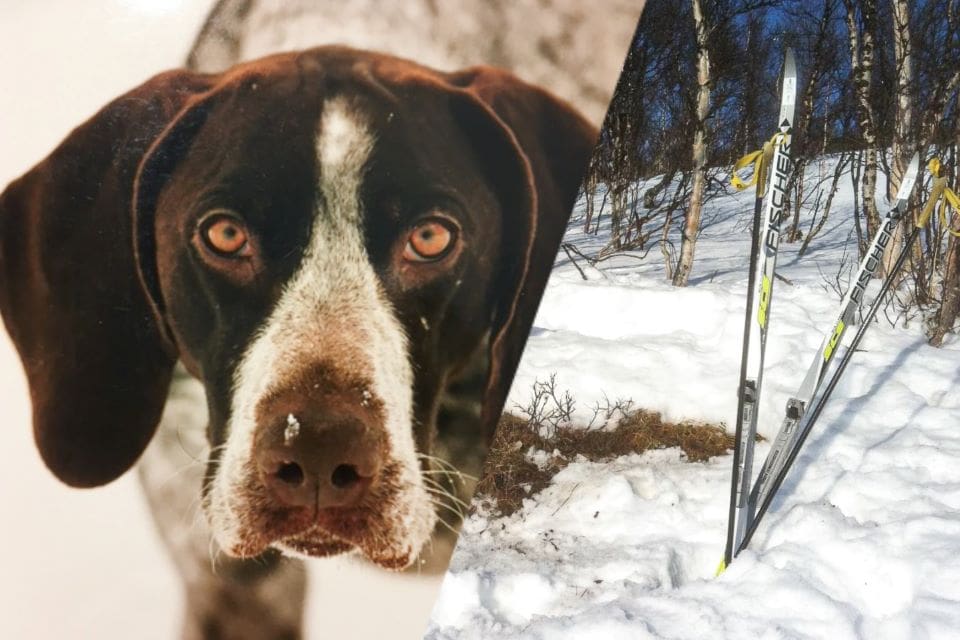 Ett sällskap på skidtur fick en skräckupplevelse när deras hund fastnade i en rävsax. (Arkivbilder)