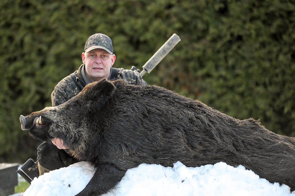 Fredrik Larsson från Surahammar lyckades fälla en galt på 210 kilo. Rekordgalten föll för ett skott på 60 meters avstånd och det lät som en stor älg i terrängen när galten gjorde entré på åtelplatsen.