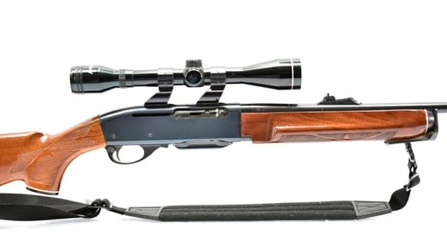 Jägaren ansökte om tillstånd för innehav av en Remington 7400-studsare för jakt.