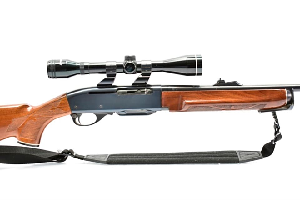 Jägaren ansökte om tillstånd för innehav av en Remington 7400-studsare för jakt.