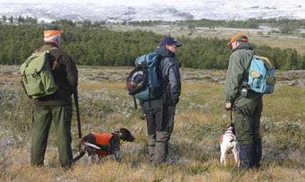 Ripjägare på statens mark i fjällen blir utan jakt om de inte anmält avskjutningen för småviltet.