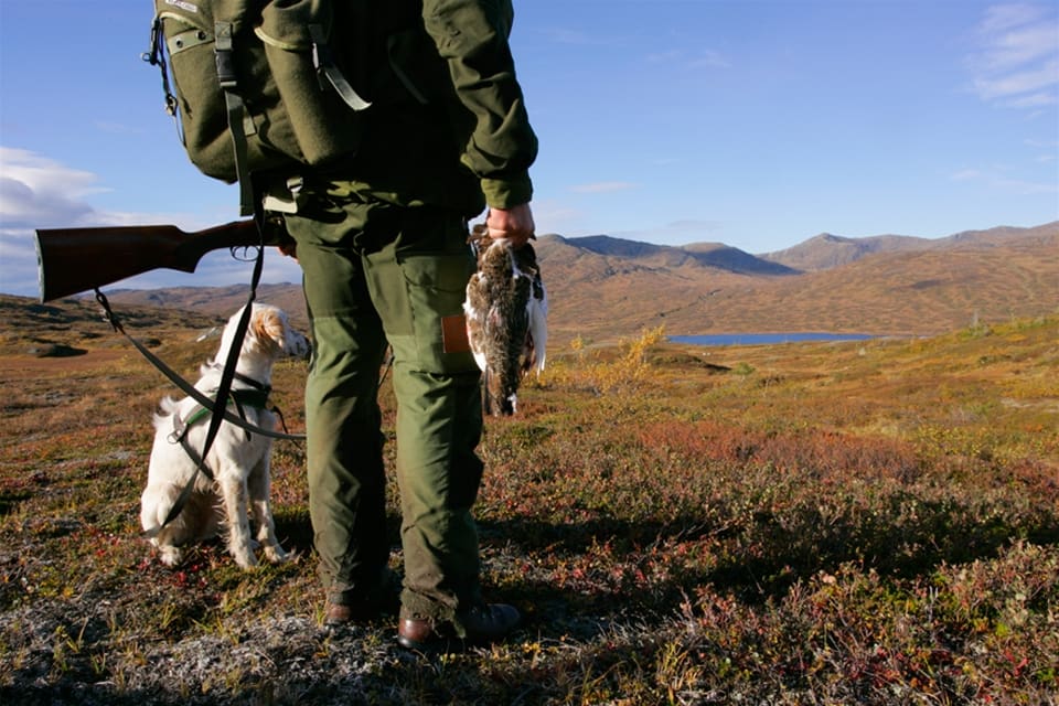 Talma sameby överväger att följa Girjas samebys exempel och stämma staten för att få som man vill vad gäller fjälljakten.