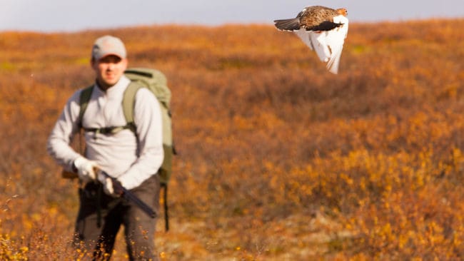 En italiensk fågeljägare vådasköts med hagel som träffade nära ögat. Jaktolyckan inträffade i Vilhelmina i Västerbotten. (Arkivbild)