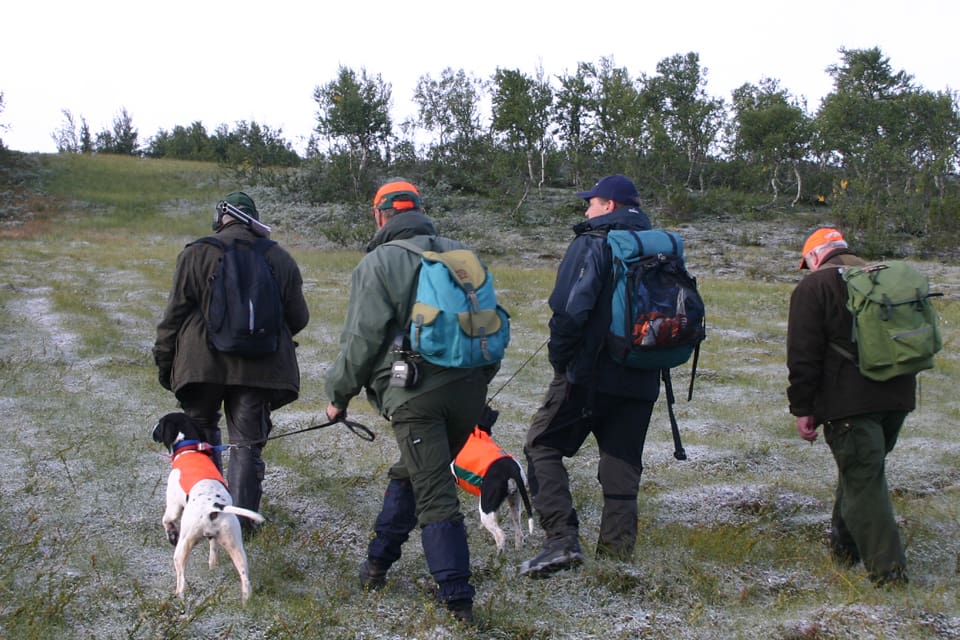 Rätten att få upplåta jakt och fiske på statlig mark bör inte bara skärskådas när det gäller renskötande samer när rennäringslagen utreds, kräver förbundet för tornedalingar i ett brev till kultur- och demokratiminister Amanda Lind.