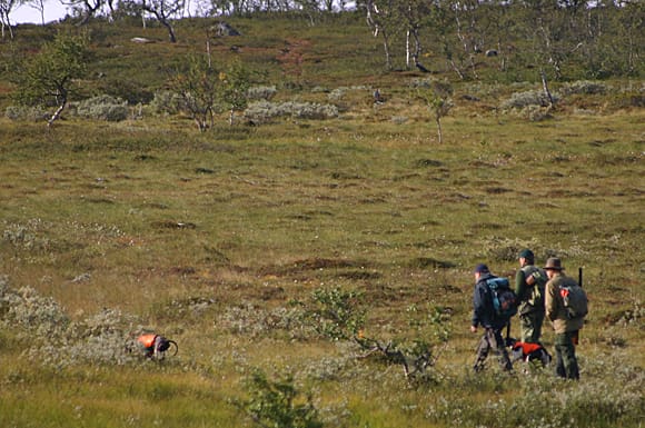 Jägare och företagare är uppretade av den avlysta småviltjakten i fjällen och kvoteringen av jaktkorten.