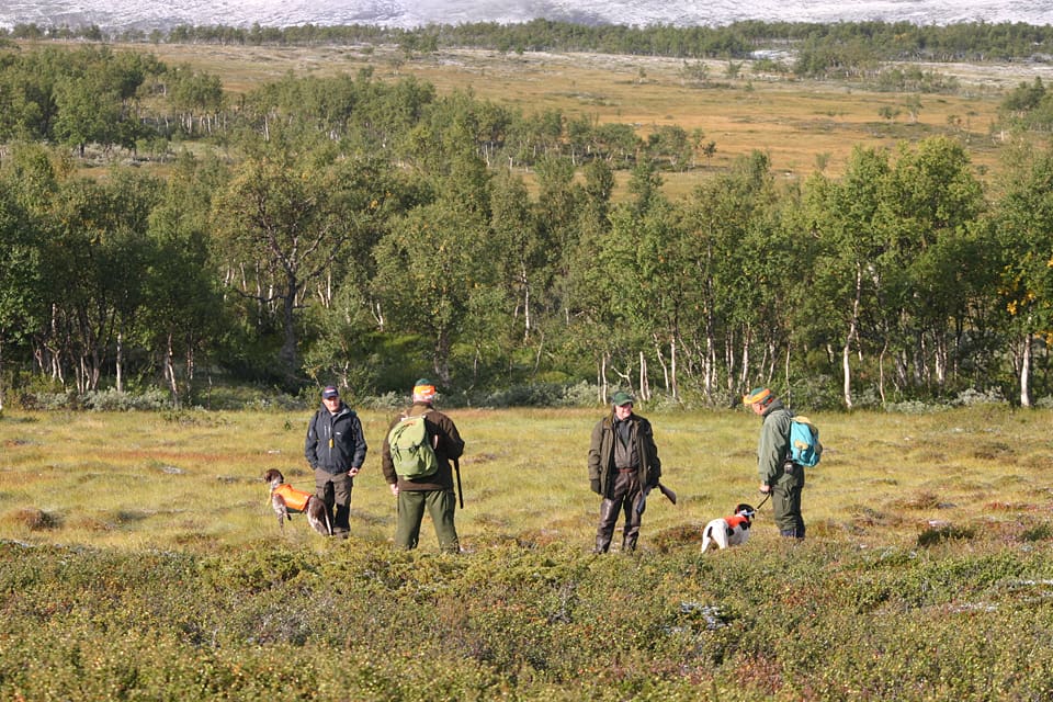 Många jägare är oroliga över hur domen i målet mellan Girja sameby och staten, där samebyn ensam vill förvalta småviltsjakten i fjällen. (Arkivbild)