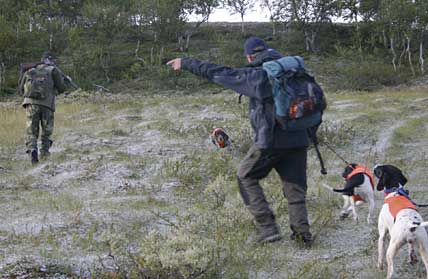 Regeringen omprövar inte fjälljakten för utländska medborgare trots att Finland ges rätt av EU att begränsa utländska jägares jakt på statlig mark.