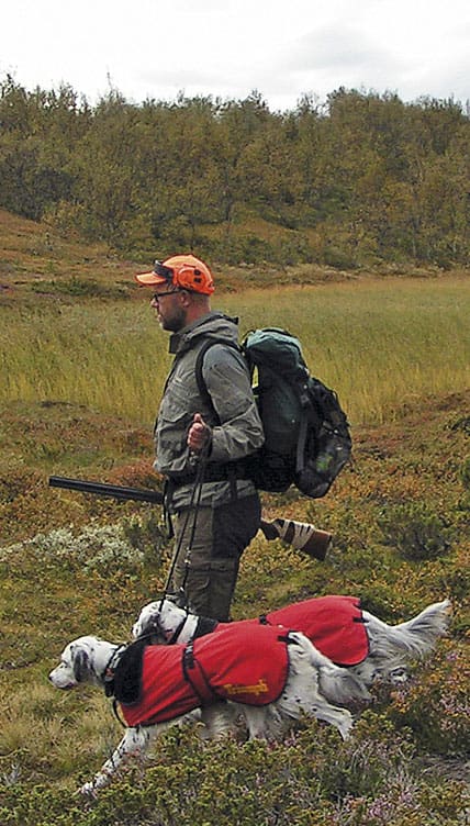 Ska ha tur. Från i år lottas jakten i några av de populäraste områdena i Jämtland och Härjedalen ut för att minska trycket på riporna.