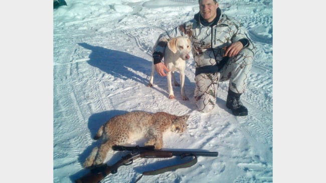 Efter tre timmars drev sköt Kent Henriksson i Tåsjö det första lodjuret för sin duktiga foxhound Rita i årets licensjakt.