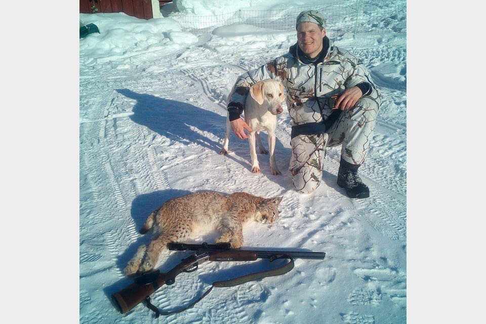 Efter tre timmars drev sköt Kent Henriksson i Tåsjö det första lodjuret för sin duktiga foxhound Rita i årets licensjakt.