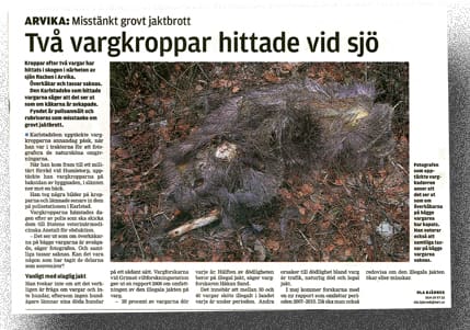 Drog i gång larmet. Det var Nya Wermlands-Tidningen som hade den första artikeln om två djurkroppar som hittats i trakterna av Arvika. Det visade sig vara en riktigt tidningsanka.