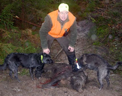 Robert Jidesjö efter en lyckad vildsvinsjakt. Att skjuta bort alla vildsvin man ser, inklusive ledarsuggor, och försöka hindra foderplatser för vildsvin innebär att LRF bara gör problemen värre, varnar han.