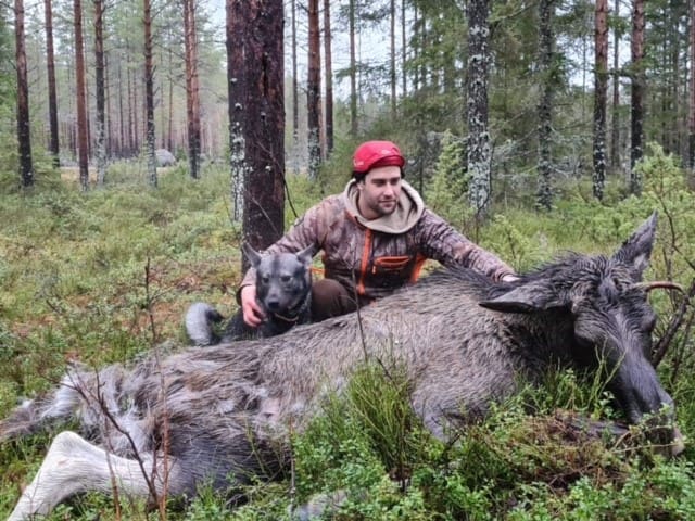 Robin Granström där han trivs bäst – i skogen, under jakten med en hund vid sin sida.