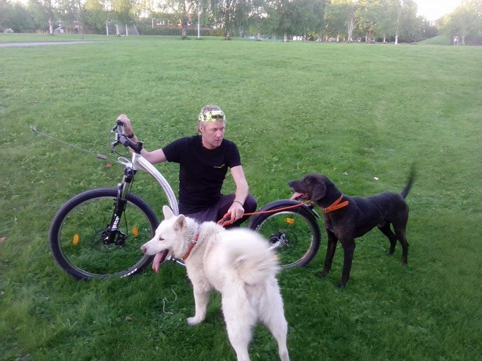 Roger Bäck med plotten Rajo och karelska björnhunden Blixten. Roger polisanmäler att någon person kopplade Rajo under björnjakten så att han inte kunde återvända till husse förrän efter en vecka.