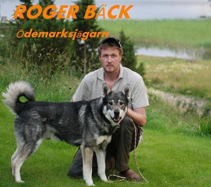 Roger och Nitro. Jämthunden Nitro dödades av björn vid jakt. En av låtarna på Rogers CD-skiva handlar om deras sista jakt tillsammans.
