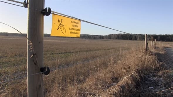 Budgeten för stöd till rovdjursavvisande stängsel räcker inte till alla ansökningar som kommit in.