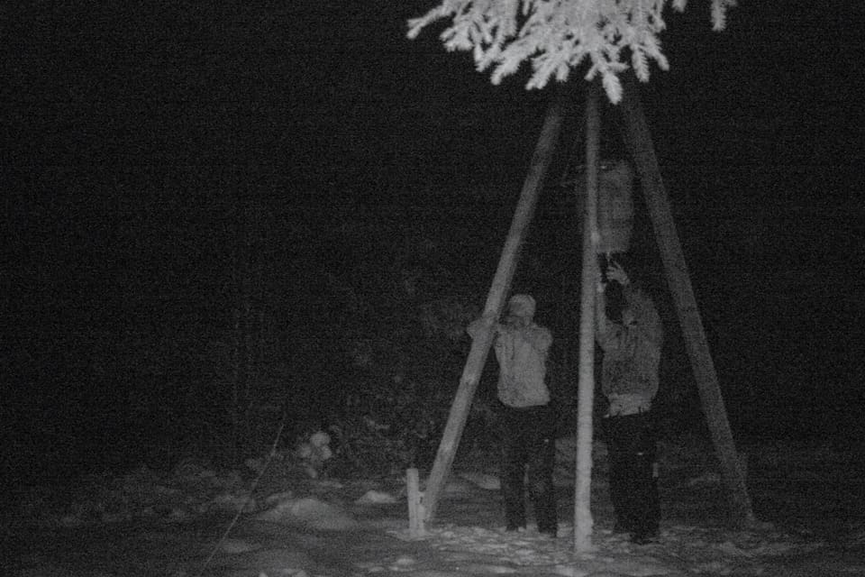 En foderautomat har förstörts utanför Ystad och en hotfull lapp riktad till jägaren fanns på platsen. (Arkivbild)