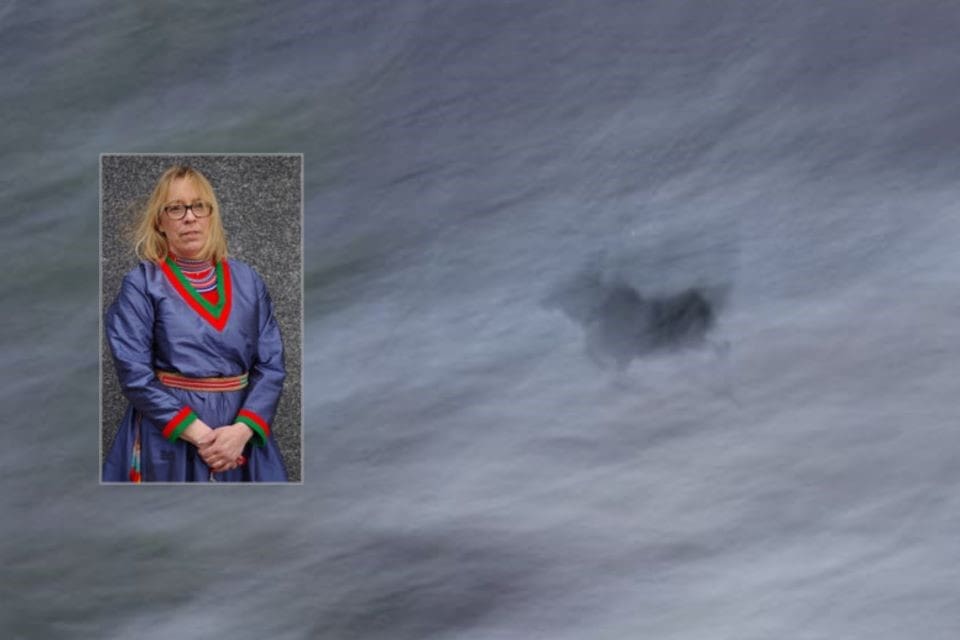 Jenny Wik Karlsson, förbundsjurist och verksamhetschef på Svenska samernas riksförbund, är kritisk till hur länsstyrelsen i Jämtland agerat.