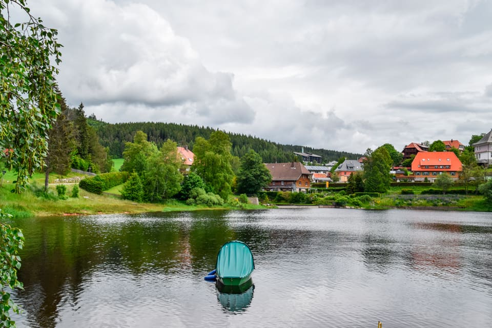 En varg som vandrat över 60 mil har hittats i sjön Schluchsee i tyska Baden-Württemberg.