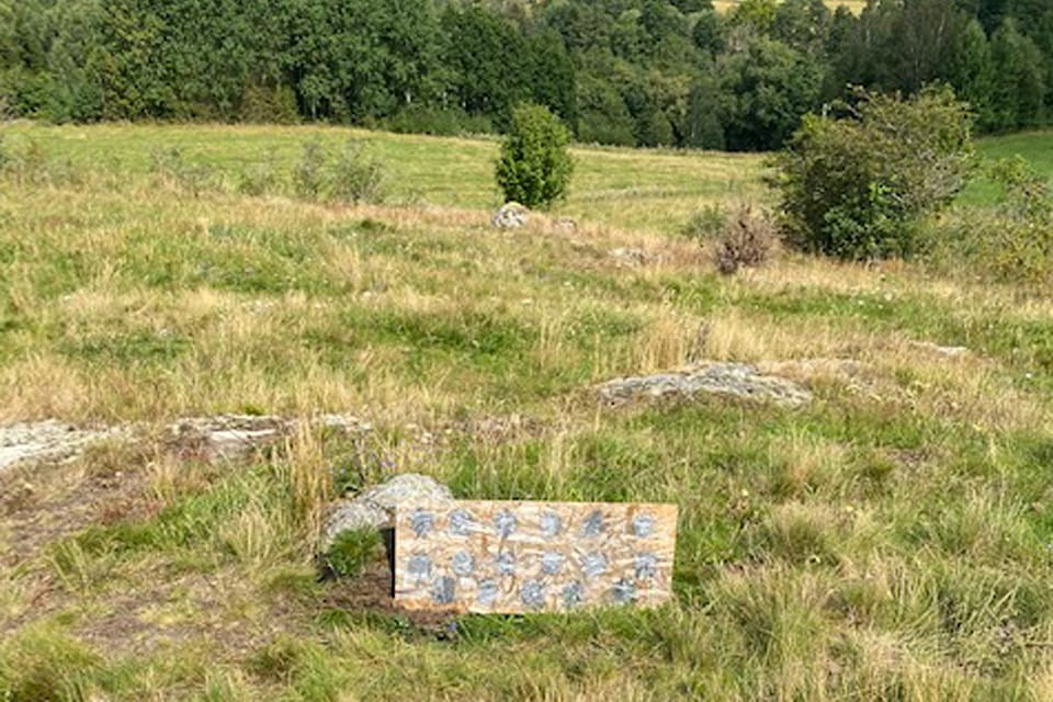 Efter att jägaren stått utanför bostaden på landsbygden och avlossat sin nya halvautomatiska 22-studsare mot den här träfiberskivan kom en insatsstyrka från polisen och omringade huset. Skytten är misstänkt för att rispat en golfare med en kula cirka 250 meter i motsatt skjutriktning.