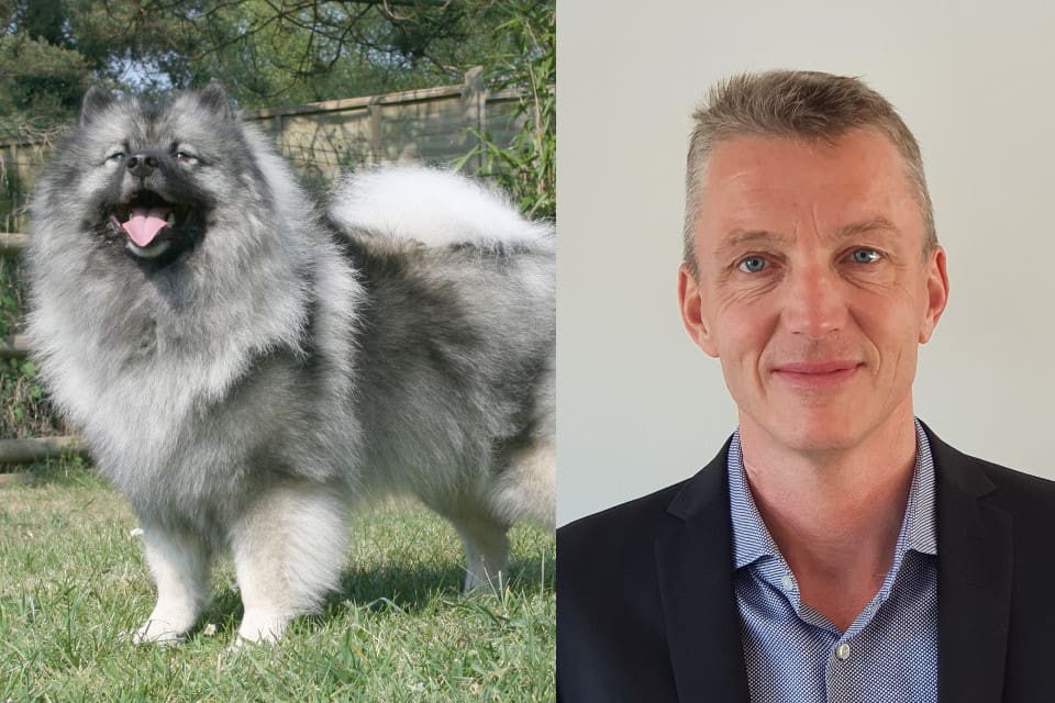 SKK:s blivande vd Kees de Jong har ingen hund för tillfället, men har tidigare haft flera keeshond.
