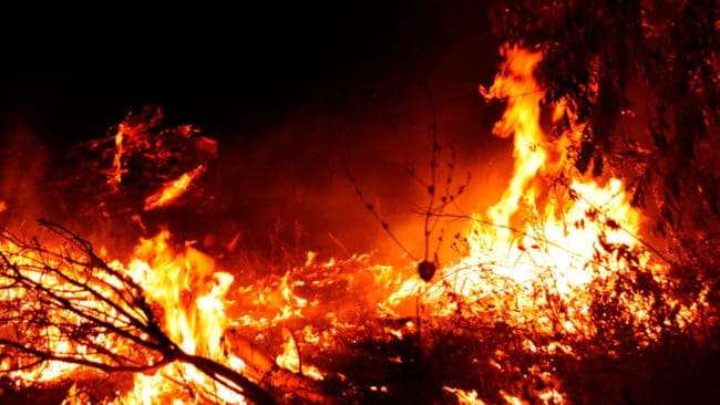Jaktlag som delvis berörs av skogsbränderna i Jämtland och Härjedalen räknar med betydligt färre jaktdagar i år.
