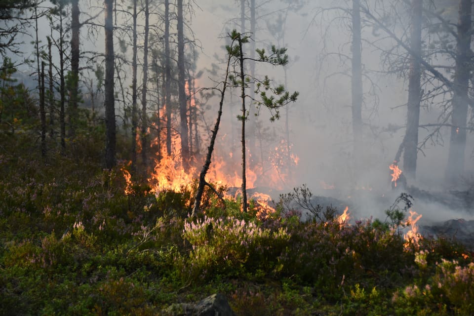 Jägare uppmanas att vara noga med att släcka efter sig.