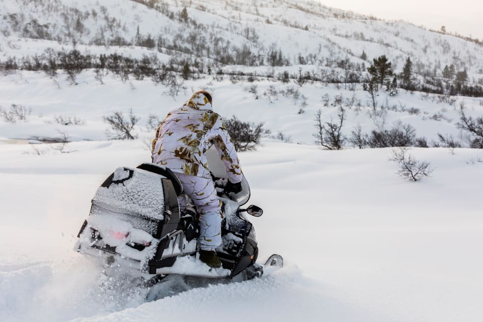 Skoter- och järvspår i snön i Åre kommun tyder på att djuret förföljts, vilket i så fall är ett jaktbrott. En specialenhet vid polisen utreder händelsen efter att upptäckten av spåren polisanmälts av länsstyrelsen. (Arkivbild)