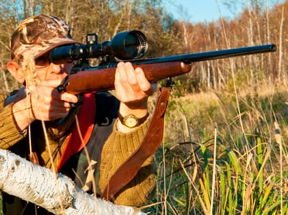 Går det att tillämpa paragraf 28 och skjuta mot Skånevargen när den attackerar tamdjur? Det vill Naturvårdsverket ha svar på efter Förvaltningsrättens stopp av jakten på vargen. (Arkivbild)