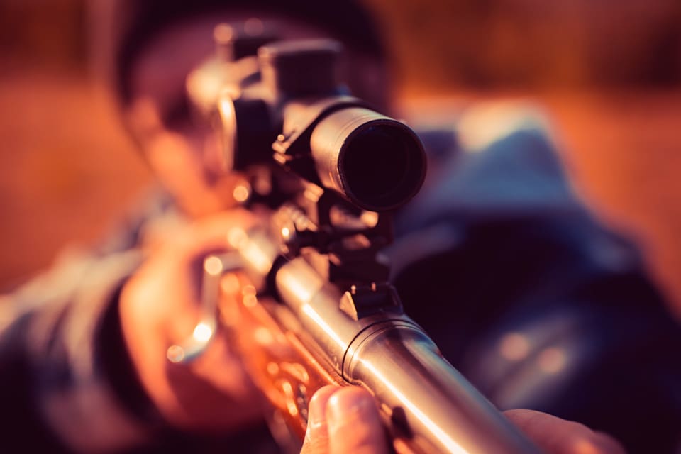 En fårägare utanför Alfta överväger att eventuellt skjuta i nödvärn mot varg som går till attack mot hans får. Två av hans får har dödats av varg natten mot onsdagen.