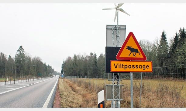 En smart kamera som känner av vilt vid vägen har testats vid Haraldsmåla i Kalmar län.