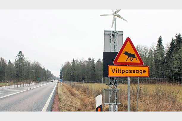 En smart kamera som känner av vilt vid vägen har testats vid Haraldsmåla i Kalmar län.