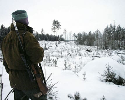 För genomsnittsjägaren kostar jakten drygt 7 100 kronor årligen. Smärtgränsen för vad jakten får kosta är cirka 11 200 kronor. Därmed har jakten ett bruttovärde på drygt tre miljarder årligen.