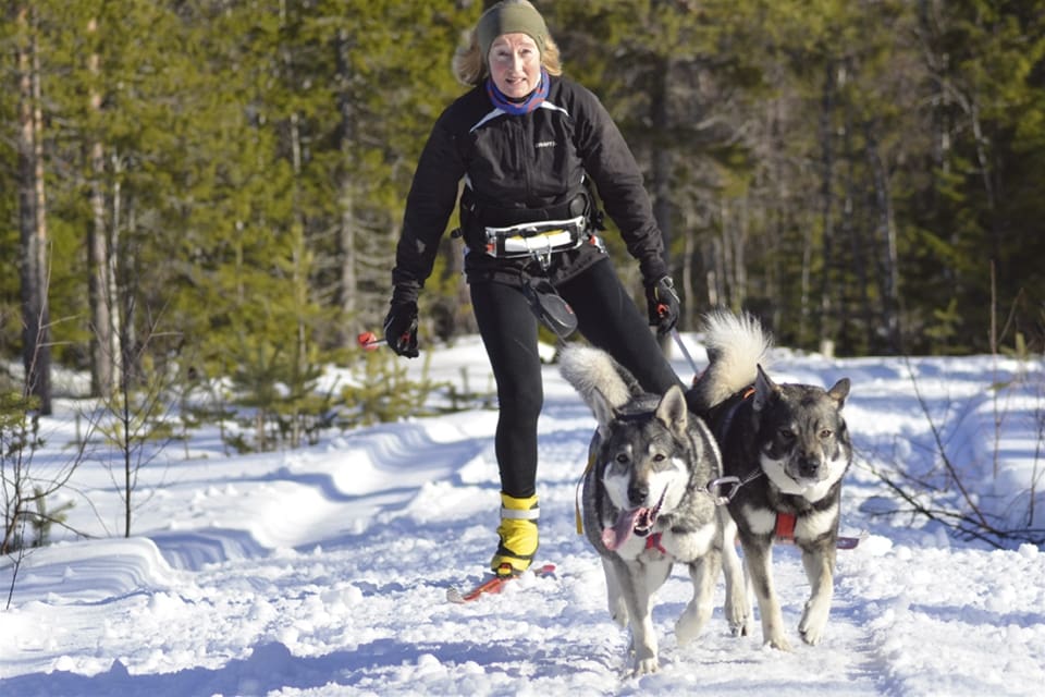 Solveig Larsson var ute och åkte skidor när hennes hundar återigen attackerade en sällskapshund så illa att den senare avlivades.