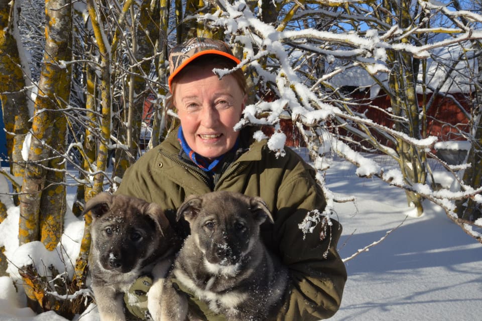 Förbundsordförande Solveig Larsson tycker att det är helt fel att ineffektiv och föråldrad byråkrati ska få fortsätta, och att det är än mer fel att kostnaden ska lastas på jägare och markägare.