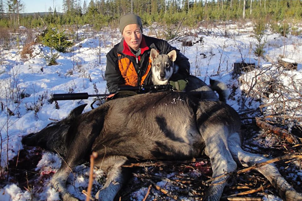 Den rättsliga processen om jakthärvan i Västmanland väcker frågor hur vi i Sverige använder vårt hårt belastade rättssystem. En snabb koll pekar på att minst 15 människor blivit skjutna under en vecka i november, konstaterar JRF-basen Solveig Larsson.