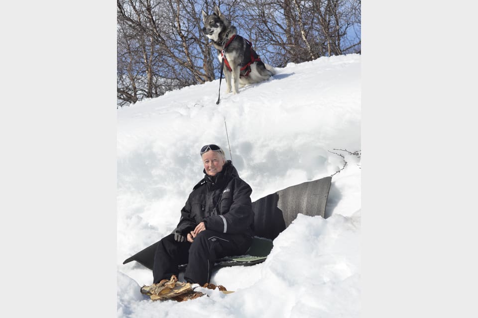 ”Det är en härlig avkoppling för både människor och hund att få njuta av vårvintern på skarsnö vid trädgränsen med milsvid utsikt över dalgångar och fjälltoppar”, skriver JRF-basen Solveig Larsson.