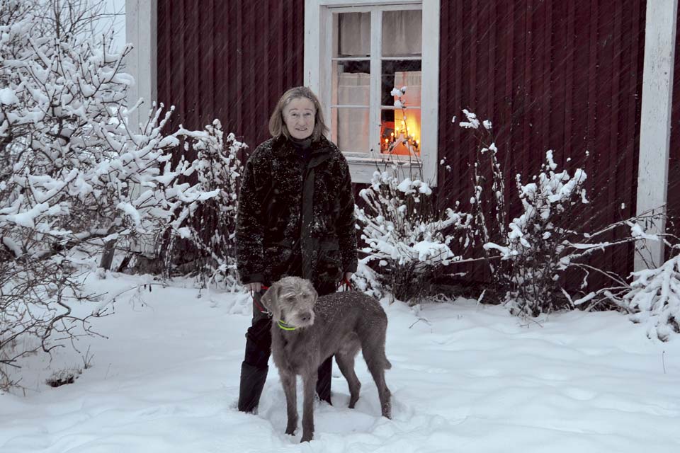 – Med detta beslut får skogens konung, älgen, ingen julfrid, utan kommer istället att utsättas för ökade vargangrepp framöver, säger Solveig Larsson, förbundsordförande för Jägarnas Riksförbund.