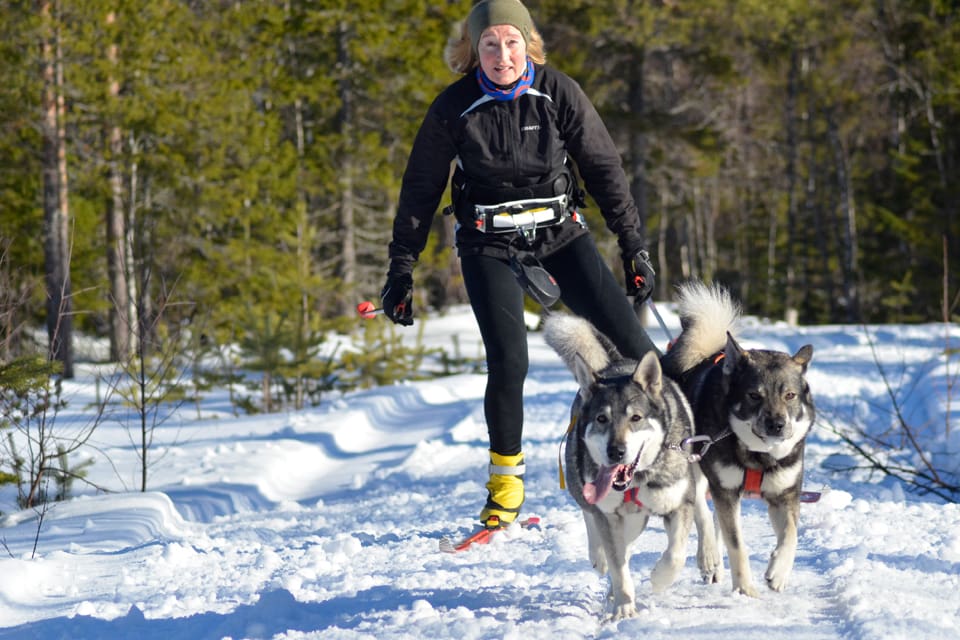 Solveig Larsson, ordförande för Jägarnas Riksförbund.