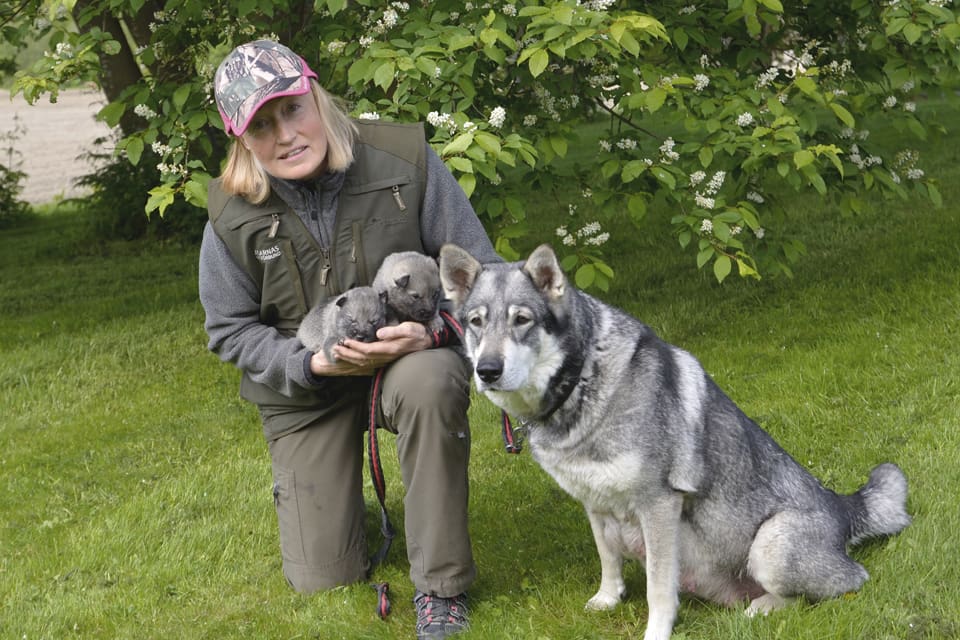 – Bästa mångfalden skapas när de som brukar jord och skog får göra det utifrån de lokala förutsättningarna – inte genom bevarandedirektiv, skriver JRF-basen Solveig Larsson.