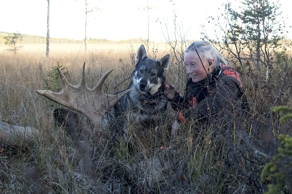 Narurvårdsverket slår nya rekord i myndighetsvansinne och kör över vargdrabbade i sin iver att ta hit ryska vargar, menar Solveig Larsson, förbundsordförande för Jägarnas Riksförbund.