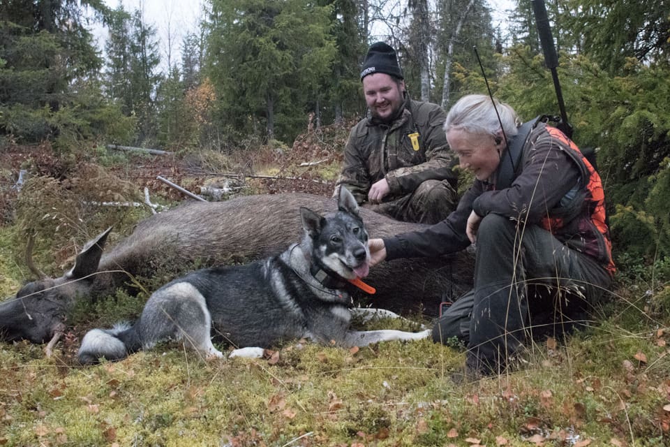 Solveig Larsson, förbundsordförande för Jägarnas Riksförbund (JRF).