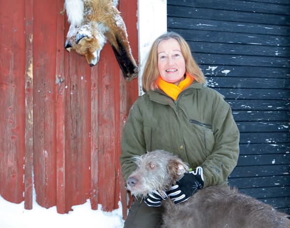 Solveig Larsson är frågande till varför det är så tyst från myndigheter när bevarandesidan försöker störa genomförandet av vargjakt. ”Det inger inte ökat förtroende för myndigheter inom rovdjursförvaltningen”, skriver JRF-basen.