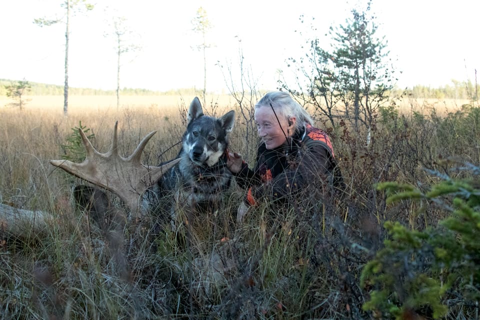Björnjakten genomfördes i rekordfart i många områden. Det är tydligt att antalet björnar har underskattats i inventeringarna. Behovet av att få fälla fler björnar, som håller sig nära människor, blir också tydligare, skriver JRF-basen Solveig Larsson.